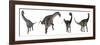 Brachiosaurus, Dicraeosaurus, Diplodocus and Spinophorosaurus-Stocktrek Images-Framed Art Print