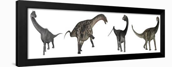 Brachiosaurus, Dicraeosaurus, Diplodocus and Spinophorosaurus-Stocktrek Images-Framed Art Print