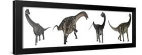 Brachiosaurus, Dicraeosaurus, Diplodocus and Spinophorosaurus-Stocktrek Images-Framed Art Print