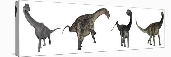 Brachiosaurus, Dicraeosaurus, Diplodocus and Spinophorosaurus-Stocktrek Images-Stretched Canvas