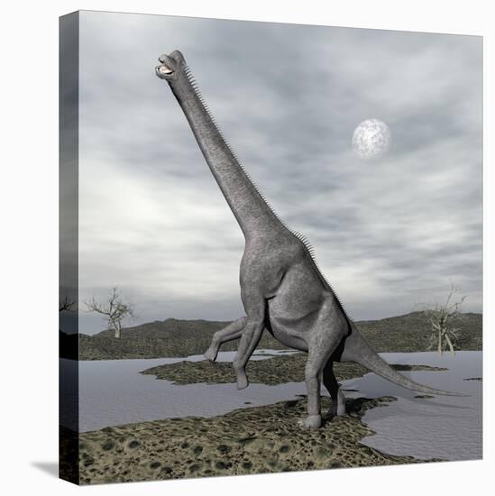 Brachiosaurus Dinosaur Backdropped by a Full Moon-null-Stretched Canvas