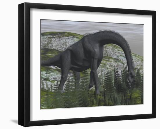 Brachiosaurus Dinosaur Eating Fern Plants on the Ground-Stocktrek Images-Framed Art Print