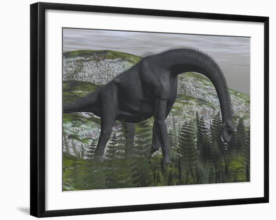 Brachiosaurus Dinosaur Eating Fern Plants on the Ground-Stocktrek Images-Framed Art Print