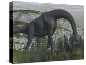 Brachiosaurus Dinosaur Eating Fern Plants on the Ground-Stocktrek Images-Stretched Canvas