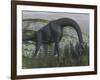 Brachiosaurus Dinosaur Eating Fern Plants on the Ground-Stocktrek Images-Framed Art Print