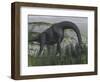 Brachiosaurus Dinosaur Eating Fern Plants on the Ground-Stocktrek Images-Framed Art Print