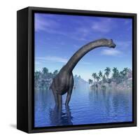 Brachiosaurus Dinosaur in a Tropical Climate-null-Framed Stretched Canvas
