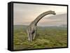 Brachiosaurus Dinosaur Walking in Grassy Landscape-null-Framed Stretched Canvas