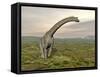 Brachiosaurus Dinosaur Walking in Grassy Landscape-null-Framed Stretched Canvas