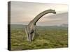 Brachiosaurus Dinosaur Walking in Grassy Landscape-null-Stretched Canvas