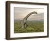 Brachiosaurus Dinosaur Walking in Grassy Landscape-null-Framed Art Print