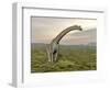 Brachiosaurus Dinosaur Walking in Grassy Landscape-null-Framed Art Print