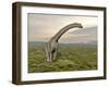 Brachiosaurus Dinosaur Walking in Grassy Landscape-null-Framed Art Print