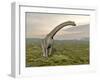 Brachiosaurus Dinosaur Walking in Grassy Landscape-null-Framed Art Print