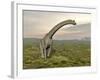 Brachiosaurus Dinosaur Walking in Grassy Landscape-null-Framed Art Print