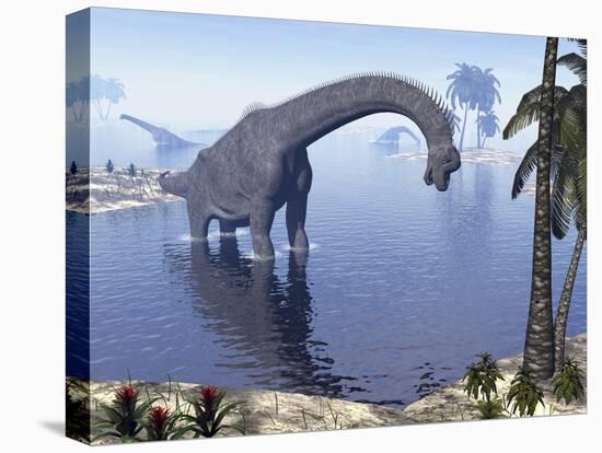 Brachiosaurus Dinosaur Walking in Water by Morning Light-null-Stretched Canvas