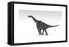 Brachiosaurus Dinosaur, White Background-null-Framed Stretched Canvas