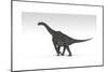 Brachiosaurus Dinosaur, White Background-null-Mounted Art Print