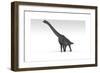 Brachiosaurus Dinosaur, White Background-null-Framed Premium Giclee Print