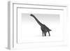 Brachiosaurus Dinosaur, White Background-null-Framed Premium Giclee Print