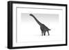 Brachiosaurus Dinosaur, White Background-null-Framed Art Print