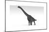 Brachiosaurus Dinosaur, White Background-null-Mounted Art Print
