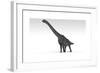 Brachiosaurus Dinosaur, White Background-null-Framed Art Print