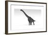 Brachiosaurus Dinosaur, White Background-null-Framed Art Print