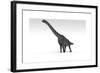 Brachiosaurus Dinosaur, White Background-null-Framed Art Print