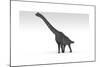 Brachiosaurus Dinosaur, White Background-null-Mounted Art Print