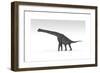 Brachiosaurus Dinosaur, White Background-null-Framed Art Print