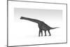 Brachiosaurus Dinosaur, White Background-null-Mounted Art Print