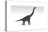 Brachiosaurus Dinosaur, White Background-null-Stretched Canvas