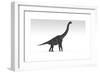 Brachiosaurus Dinosaur, White Background-null-Framed Art Print