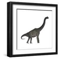 Brachiosaurus Dinosaur-Stocktrek Images-Framed Art Print