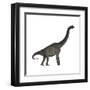 Brachiosaurus Dinosaur-Stocktrek Images-Framed Art Print