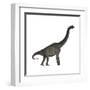 Brachiosaurus Dinosaur-Stocktrek Images-Framed Art Print