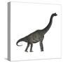 Brachiosaurus Dinosaur-Stocktrek Images-Stretched Canvas