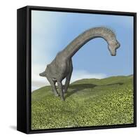 Brachiosaurus Dinosaur-null-Framed Stretched Canvas