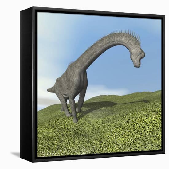 Brachiosaurus Dinosaur-null-Framed Stretched Canvas