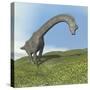 Brachiosaurus Dinosaur-null-Stretched Canvas