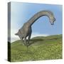 Brachiosaurus Dinosaur-null-Stretched Canvas