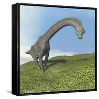 Brachiosaurus Dinosaur-null-Framed Stretched Canvas