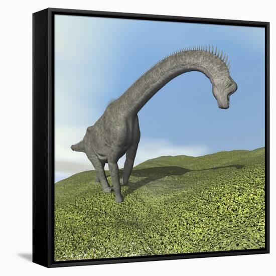 Brachiosaurus Dinosaur-null-Framed Stretched Canvas