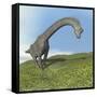 Brachiosaurus Dinosaur-null-Framed Stretched Canvas