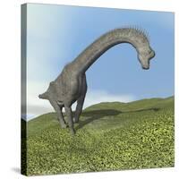 Brachiosaurus Dinosaur-null-Stretched Canvas