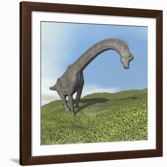 Brachiosaurus Dinosaur-null-Framed Art Print