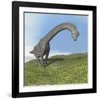 Brachiosaurus Dinosaur-null-Framed Art Print