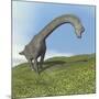 Brachiosaurus Dinosaur-null-Mounted Art Print