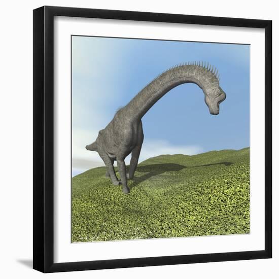 Brachiosaurus Dinosaur-null-Framed Art Print